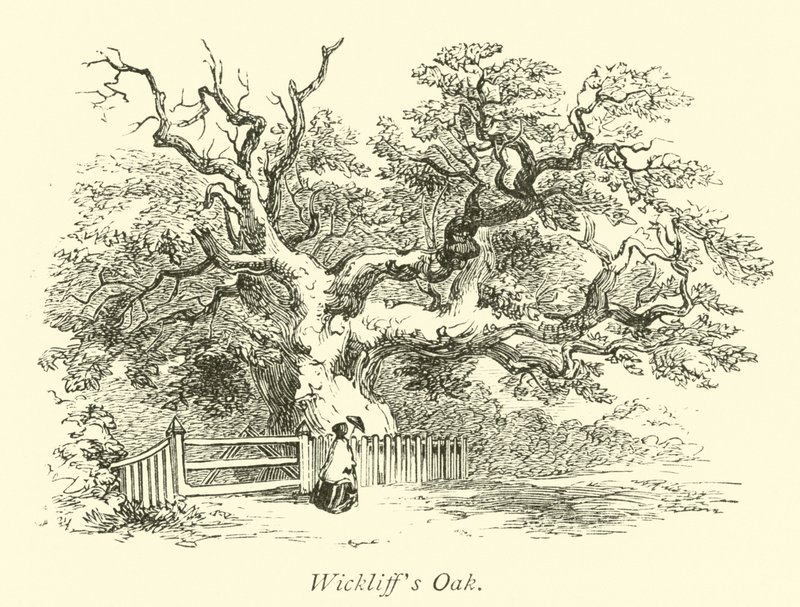 Wickliffs tölgy alkotó: English School