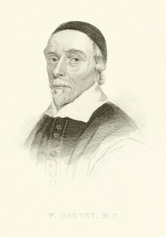 William Harvey alkotó: English School