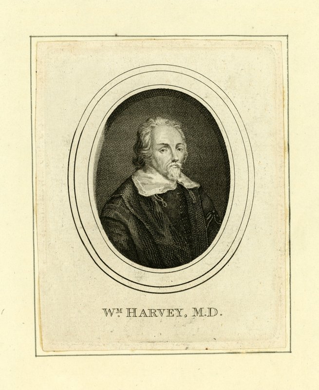 William Harvey alkotó: English School