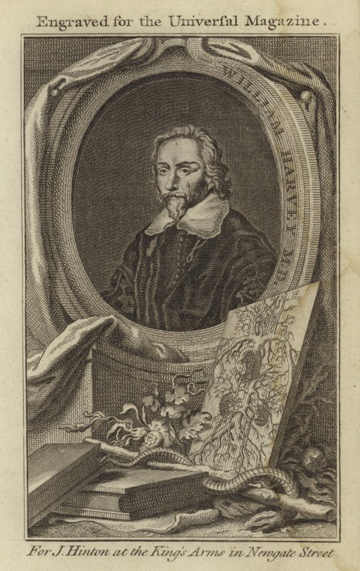 William Harvey M D alkotó: English School