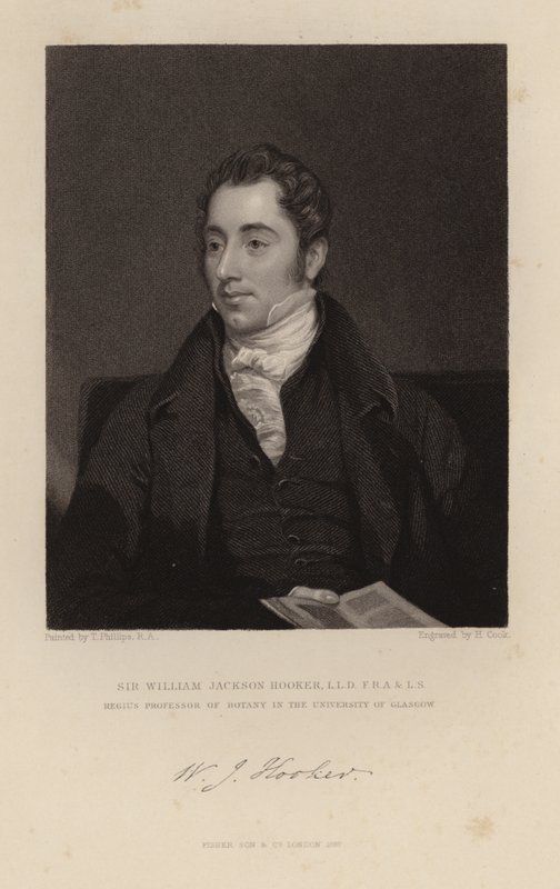 William Jackson Hooker alkotó: English School