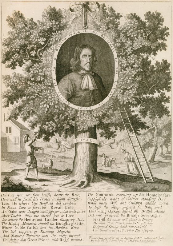 William Pendrill és a királyi tölgy alkotó: English School