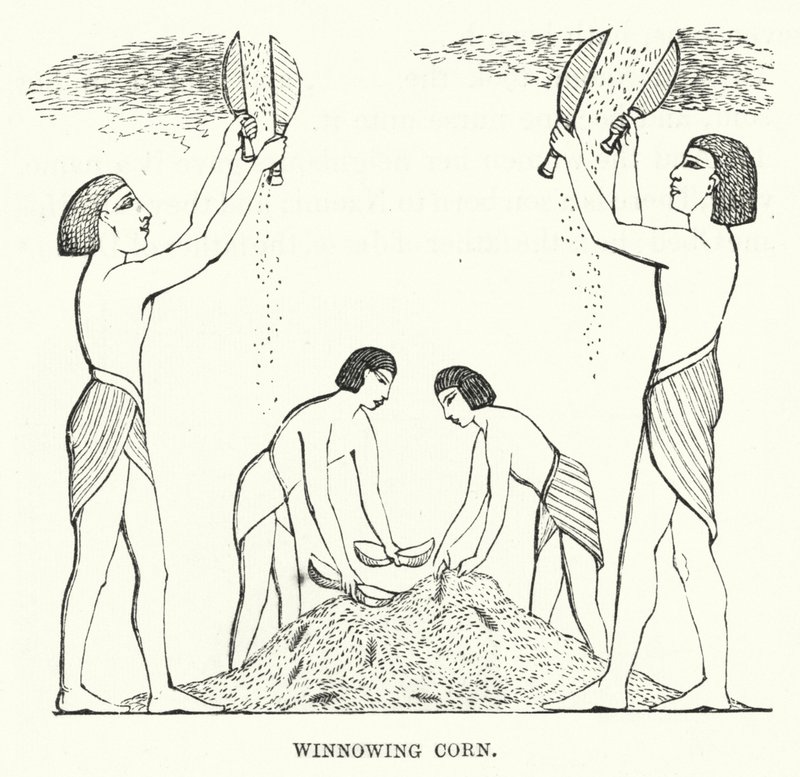 Winnowing Corn (metszet) alkotó: English School