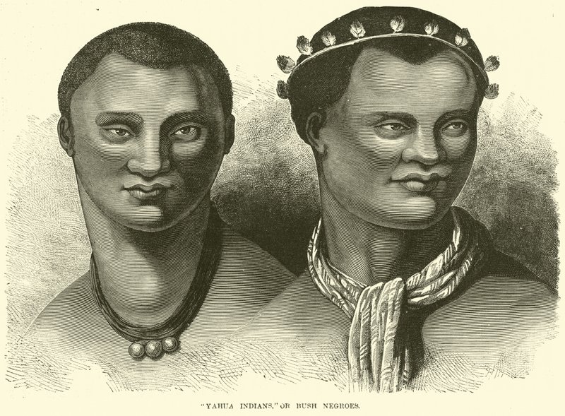 Yahua indiánok, vagy bokorfekete alkotó: English School