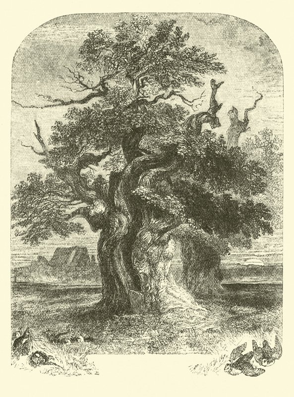 Yardley Oak alkotó: English School