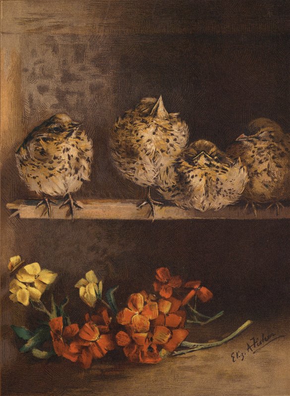 Fiatal csibék és virágok (chromolitho) alkotó: English School
