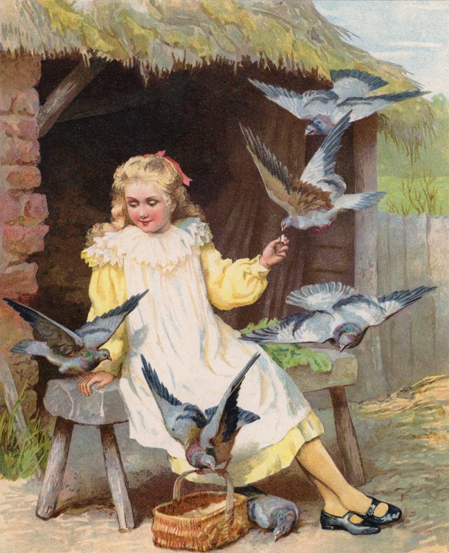 Fiatal lányok galambokat etetnek egy farmon (chromolitho) alkotó: English School