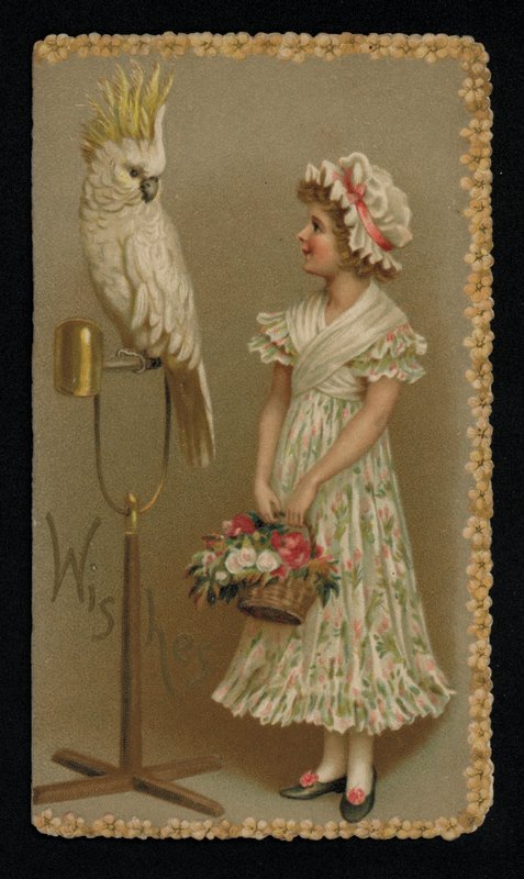 Fiatal nő fehér kakaduval, üdvözlőlap. (chromolitho) alkotó: English School