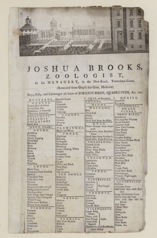 Zoológus, Joshua Brooks, kereskedelmi kártya alkotó: English School