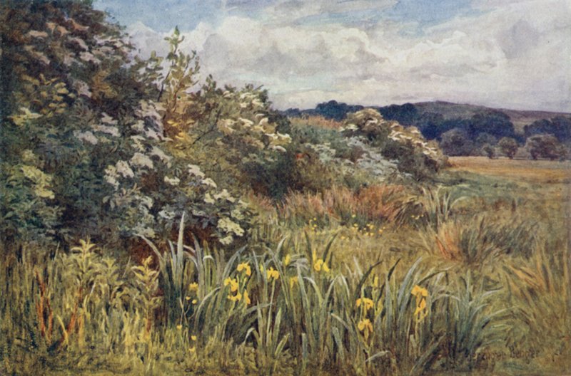 Amikor a dicsőség megkoronázza a mézet alkotó: Ernest Benger or Berenger