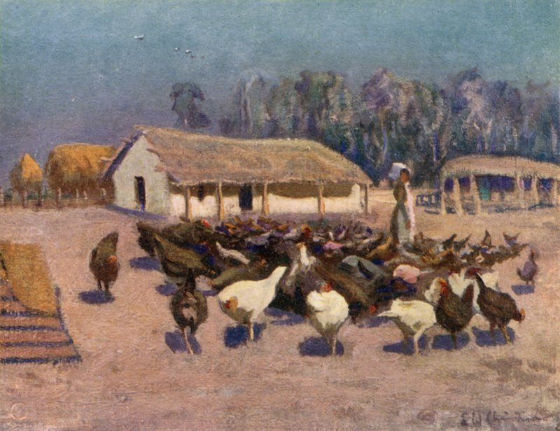 Egy nyári nap egy csirkefarmon alkotó: Ernest William Christmas