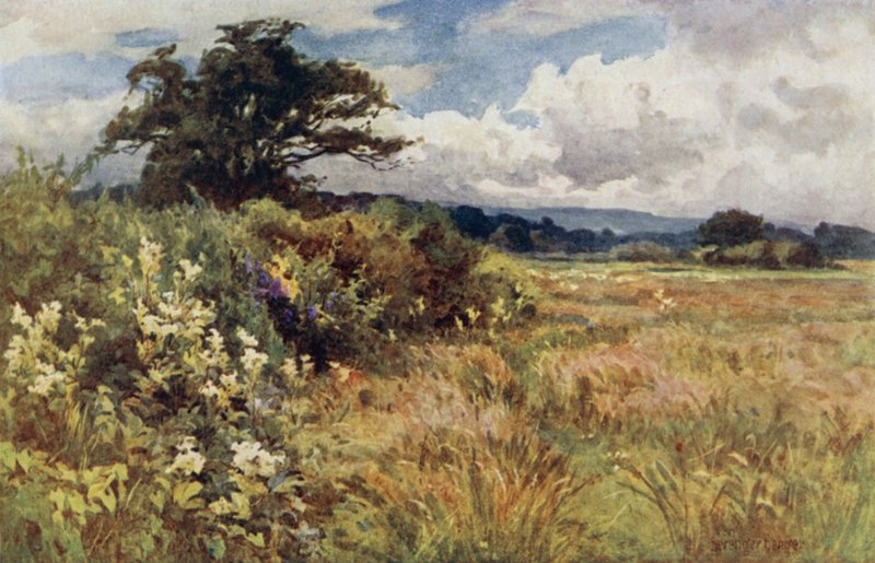 Rising Ground alkotó: Ernest Benger or Berenger