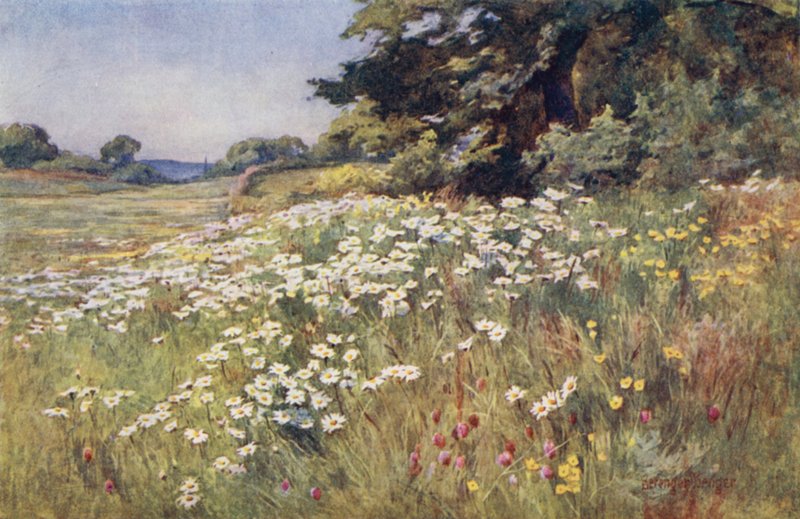 Napsütés Meadowlandben alkotó: Ernest Benger or Berenger