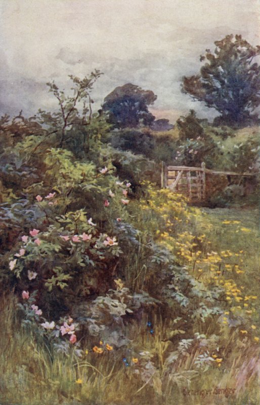 A rózsa uralma alkotó: Ernest Benger or Berenger