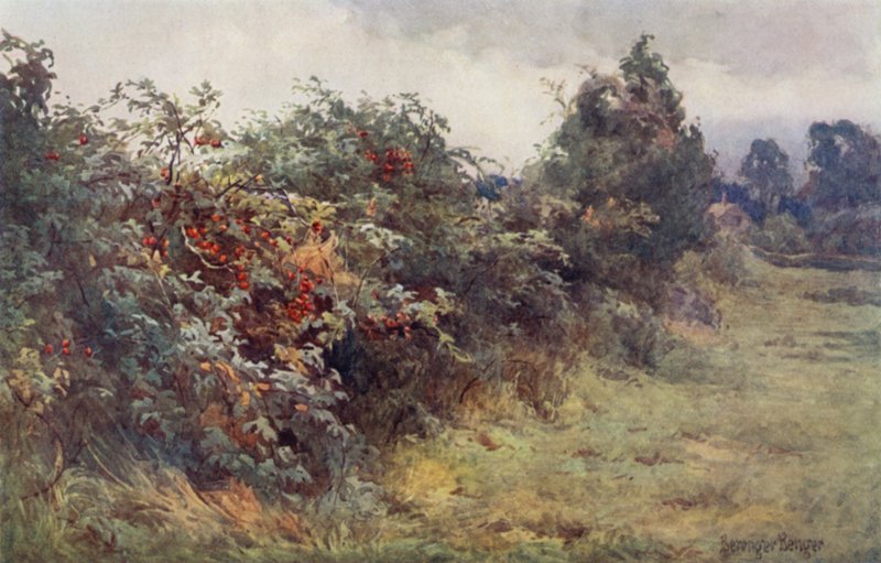 Az érettség kinyilatkoztatása alkotó: Ernest Benger or Berenger