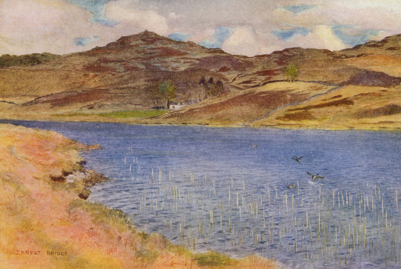 Loch Howie vagy Wee (színes litográfia) alkotó: Ernest Edward Briggs