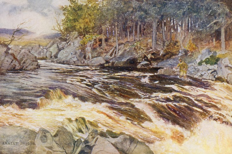 Lazachalászat a Kenben, kritikus pillanat (színes litográfia) alkotó: Ernest Edward Briggs