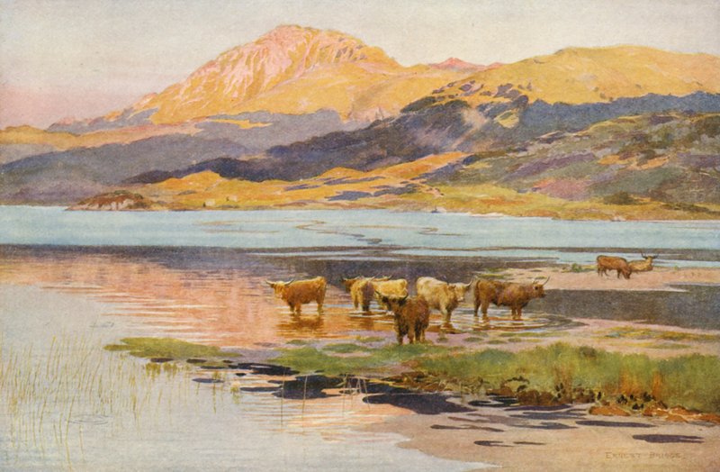 A Loch Quoich feje, este (színes litográfia) alkotó: Ernest Edward Briggs