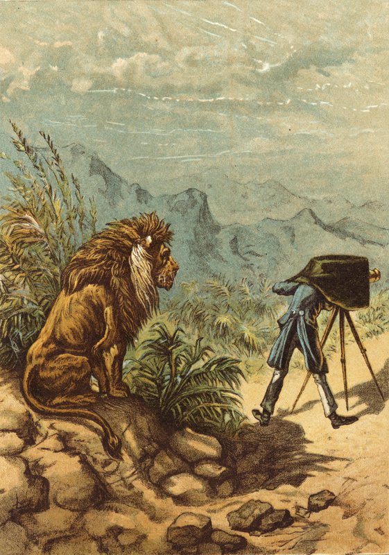 Ígéretes kilátás, oroszlán megfigyeli a fényképészt (chromolitho) alkotó: Ernest Henry Griset