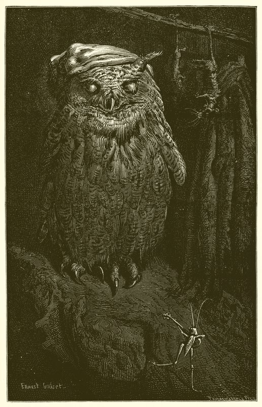 A bagoly és a szöcske alkotó: Ernest Henry Griset