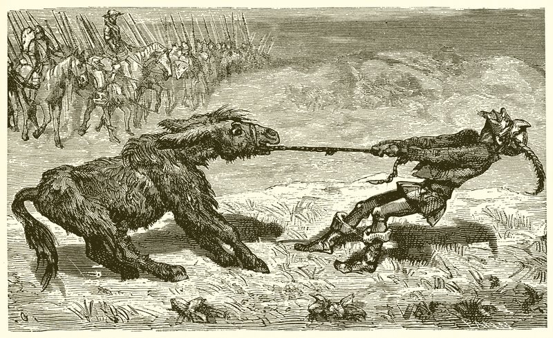Az értelmes szamár alkotó: Ernest Henry Griset