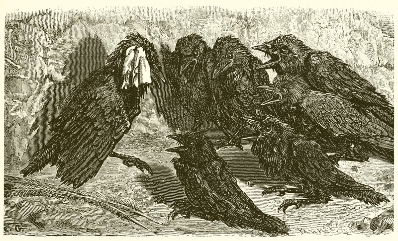 A hiú jacka alkotó: Ernest Henry Griset