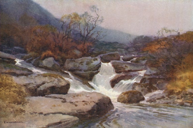 Dartmoor-patak (színes litó) alkotó: Ernest William Haslehust