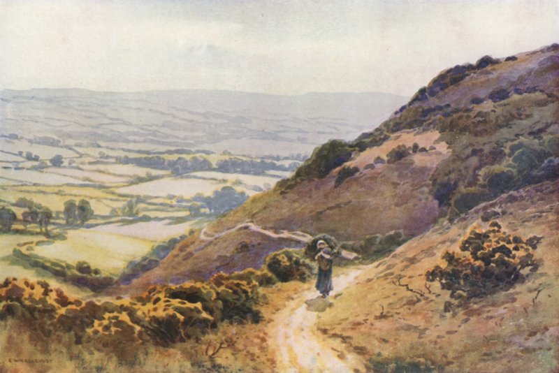 Ballard Down, Swanage (színes tagok) alkotó: Ernest William Haslehust