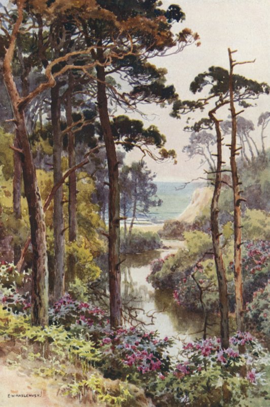 Branksome Chine, Bournemouth (színes litho) alkotó: Ernest William Haslehust
