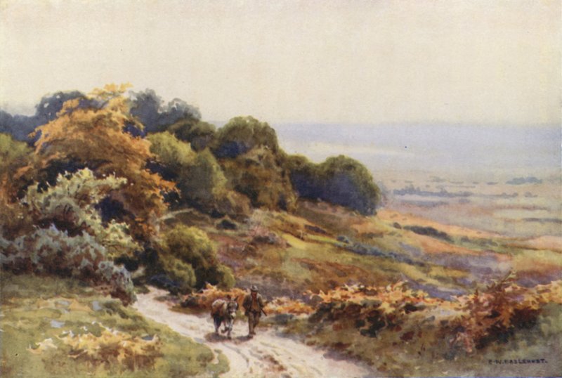 Burley Moor (színes litó) alkotó: Ernest William Haslehust