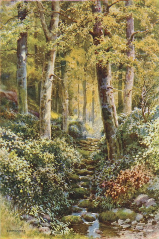 Fairlight Glen (színes litó) alkotó: Ernest William Haslehust