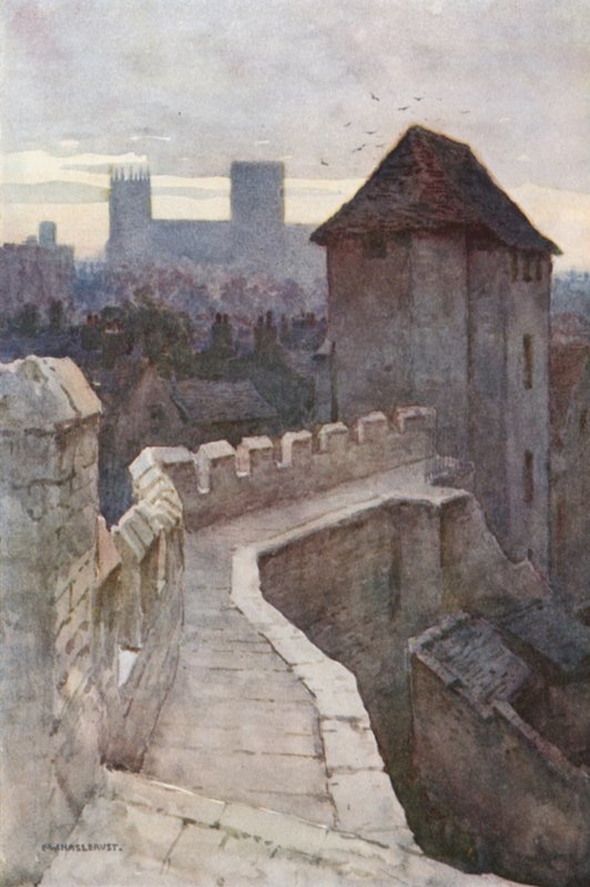 Fishergate poszter a falakról (színes litho) alkotó: Ernest William Haslehust