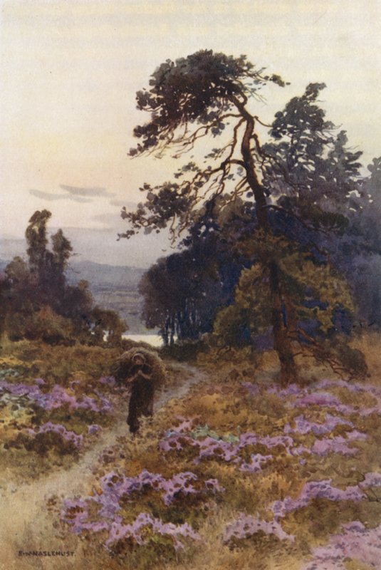 Harlow Moor, Harrogate (színes litó) alkotó: Ernest William Haslehust