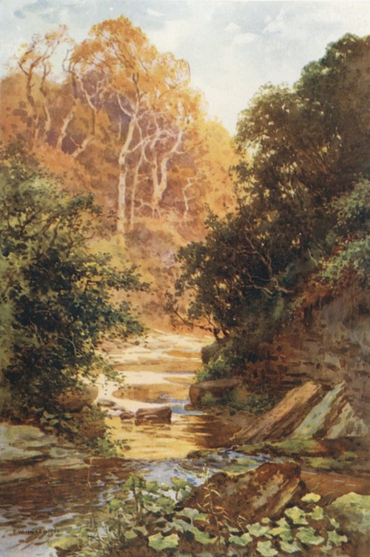 Hayburn Wyke (színes litó) alkotó: Ernest William Haslehust