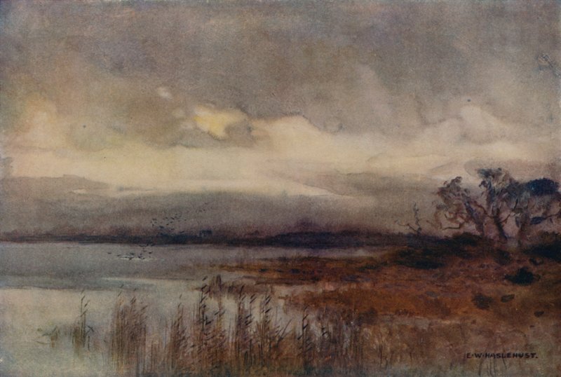 Hickling Broad (színes litó) alkotó: Ernest William Haslehust