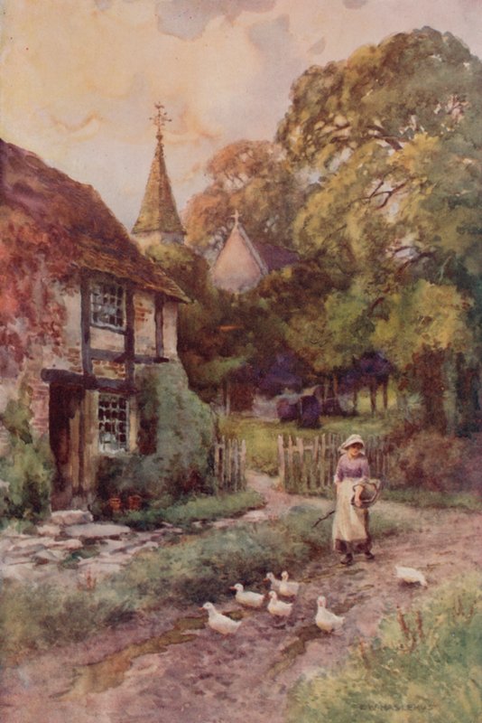 "Pápista Wixford" (színes litó) alkotó: Ernest William Haslehust