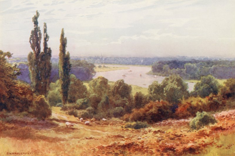 Temze folyó: Richmond Hill felől (színes litográfia) alkotó: Ernest William Haslehust