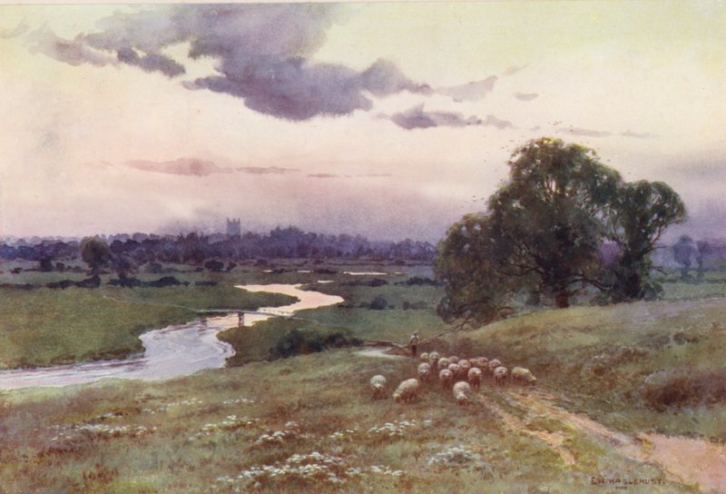 Temze folyó: Eisey Hillről (színes litográfia) alkotó: Ernest William Haslehust