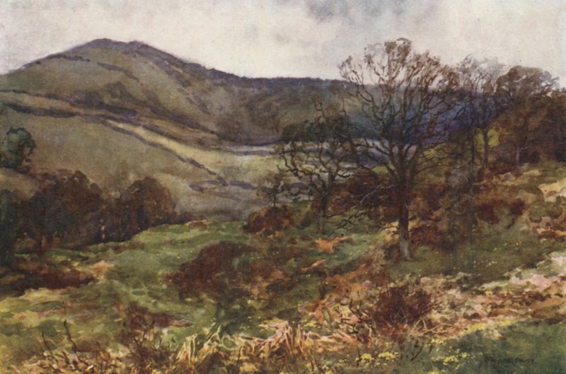 Shanklin Down, kora tavasz (színes litó) alkotó: Ernest William Haslehust