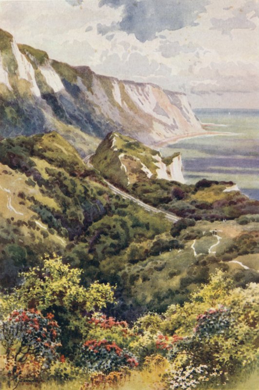 The Warren, Folkestone (színes litó) alkotó: Ernest William Haslehust