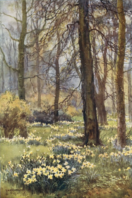 A vadon tavasszal (színes litó) alkotó: Ernest William Haslehust