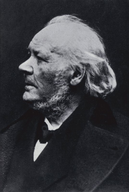 Az illusztrátor Honore Daumier alkotó: Etienne Carjat