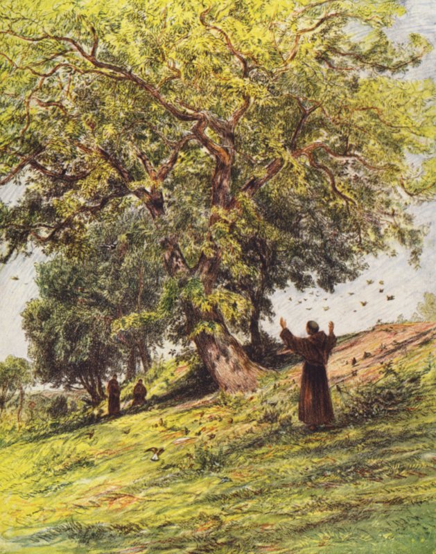 Szent Fancis prédikál a madaraknak (színes litográfia) alkotó: Eugene (after) Burnand