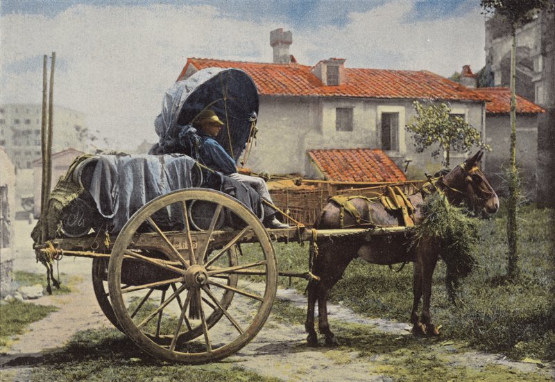 Róma környéke, Carter Borozás alkotó: European Photographer