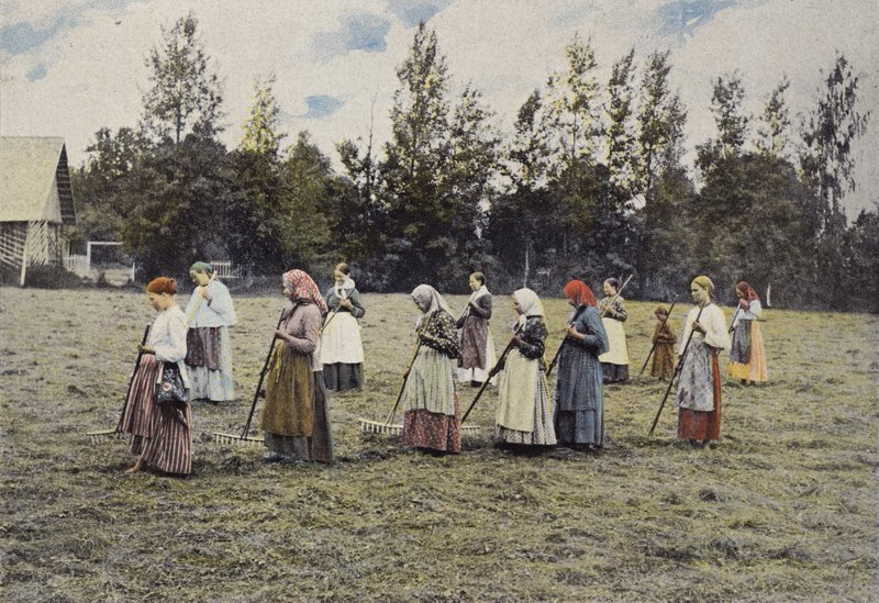 Szénakészítés Moszkva körül alkotó: European Photographer