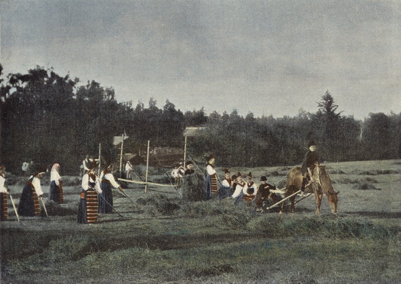 Szénavágás Dalarnában, Svédországban alkotó: European Photographer