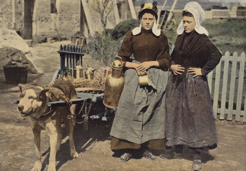 Tejkereskedő Antwerpenben alkotó: European Photographer