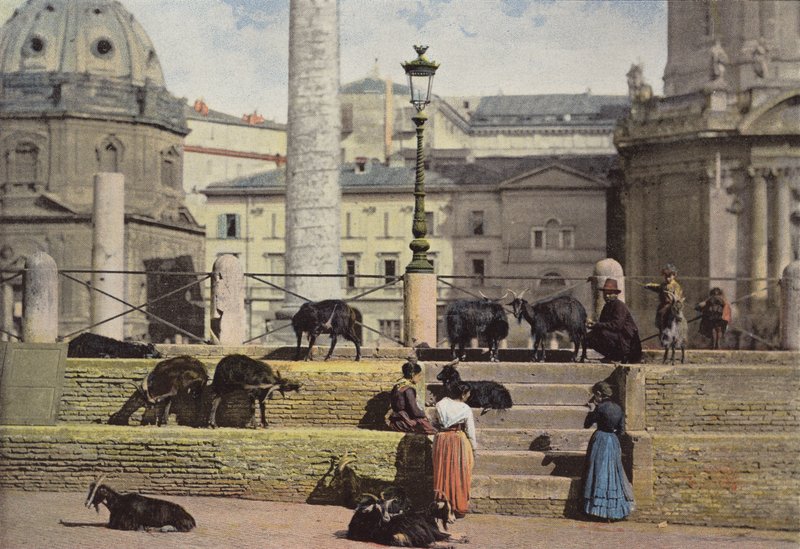 Róma, kecskék Traianus fórumán alkotó: European Photographer