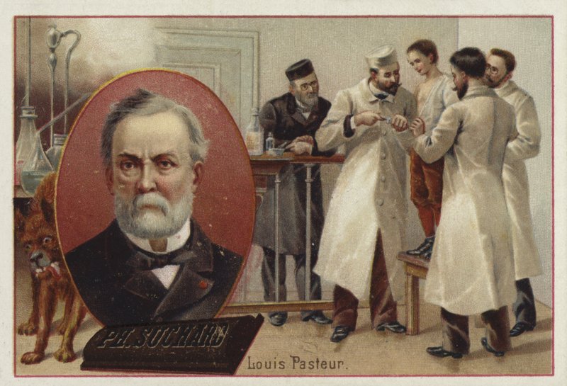 Louis Pasteur francia kémikus és mikrobiológus alkotó: European School