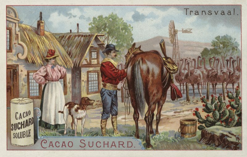 Struccfarm, Transvaal alkotó: European School